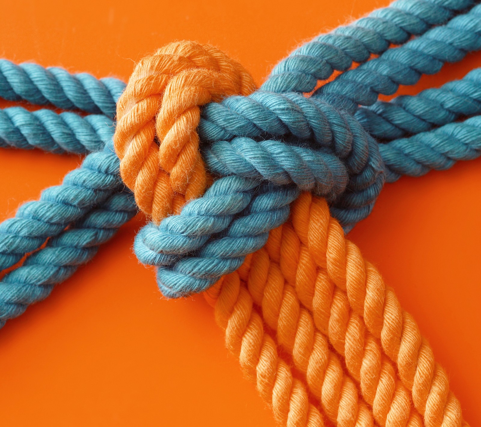 A close up of a knot on a rope on an orange surface (colorful, hd wallpaper, rope)