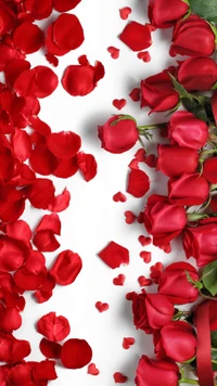 Romantic Red Roses and Heart-Shaped Petals for Valentine's Day