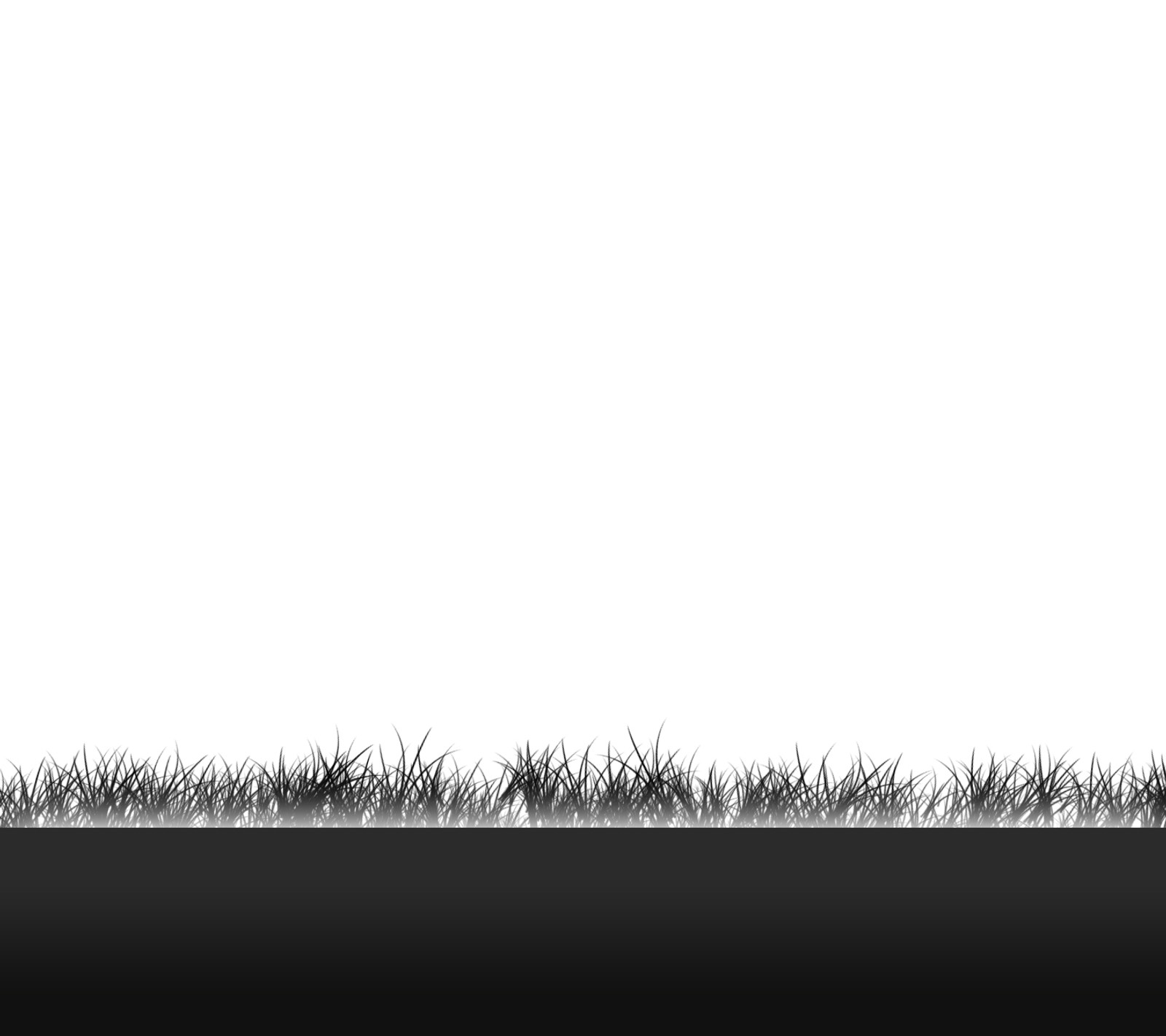 There is a black and white photo of a field of grass (gras, wall, white)