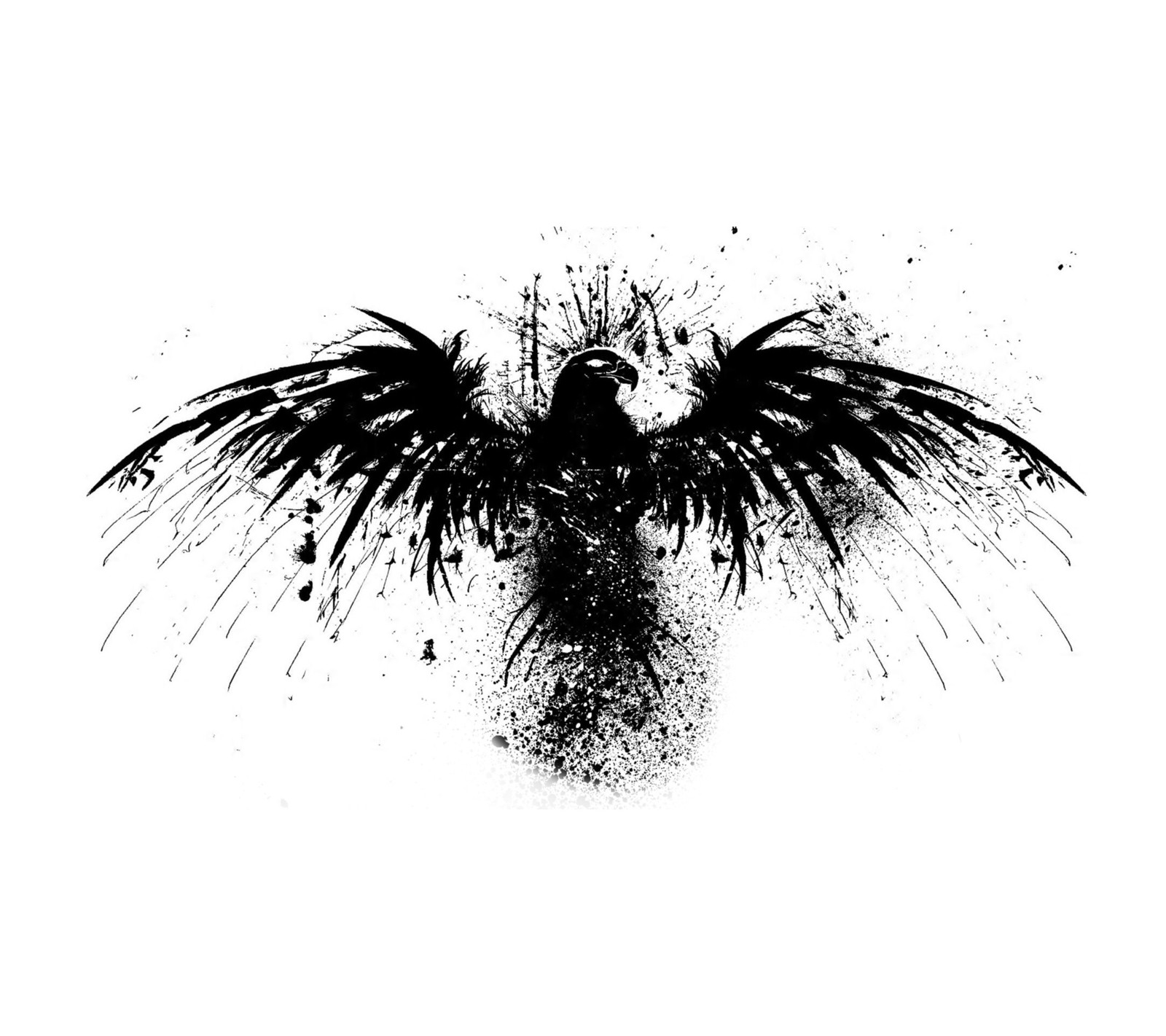 A black and white photo of a bird with splats on it (bird, black)