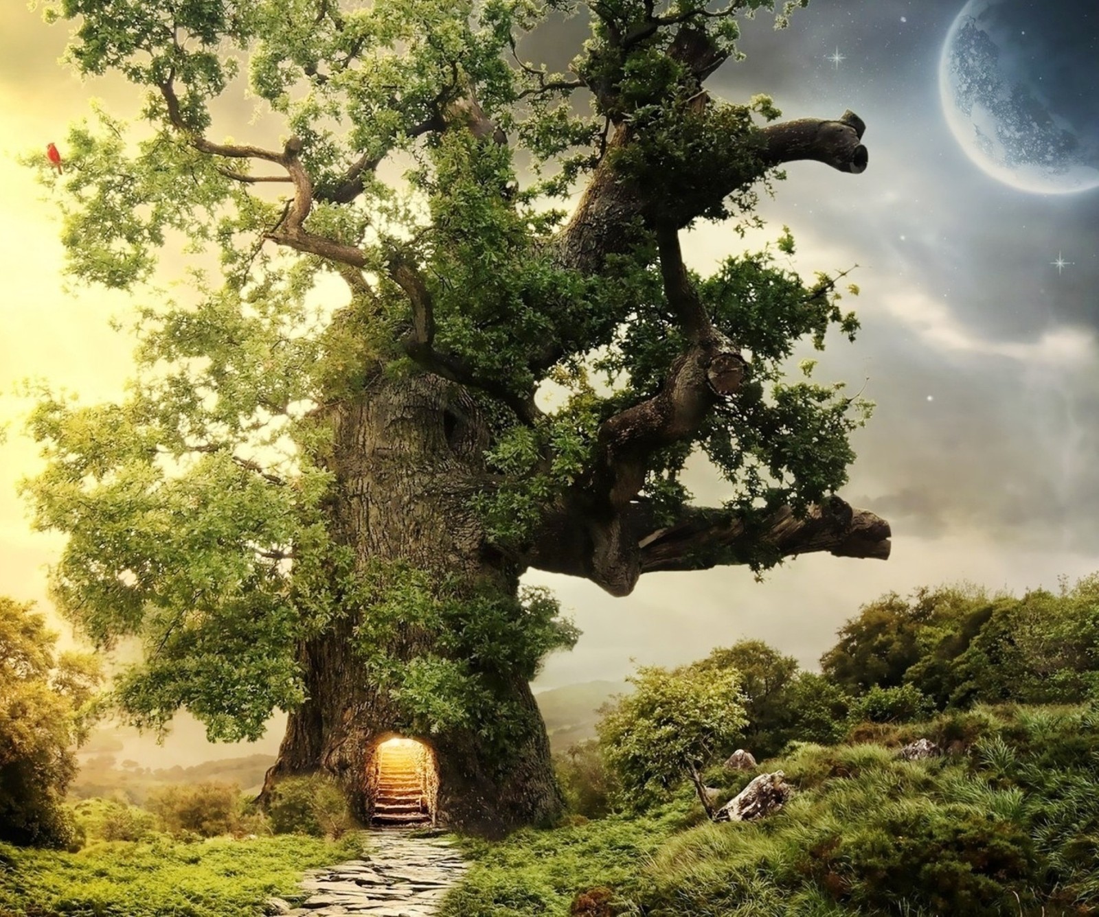 Un arbre avec une porte au milieu et un chemin qui y mène (rêve, fantaisie, maison, lune, nature)