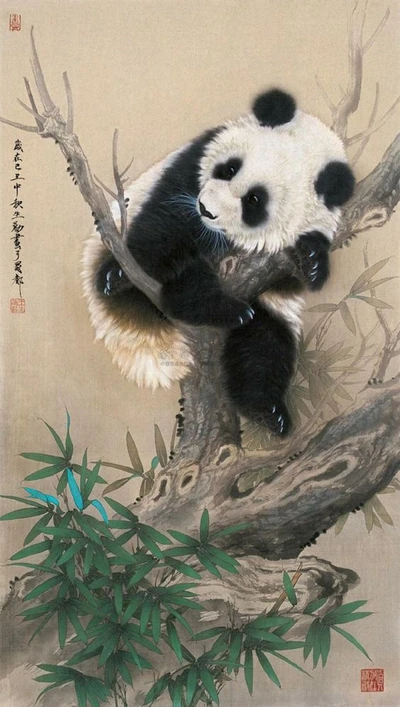 tier, panda