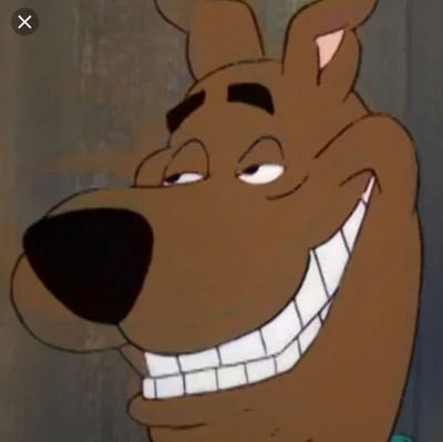 scooby, meme