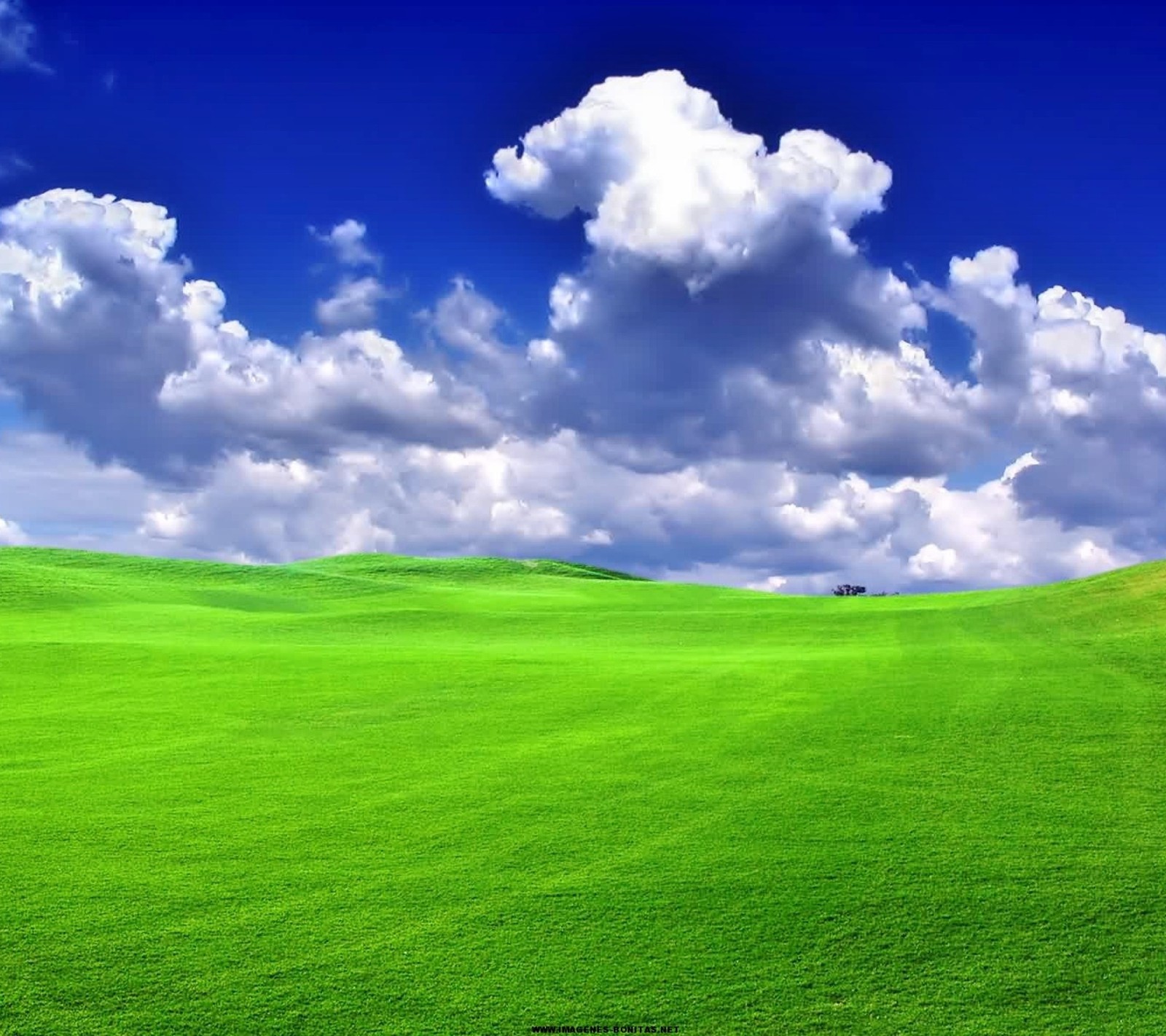 Ein grünes feld mit blauem himmel und wolken im hintergrund (wolken, gras, landschaft, natur, himmel)