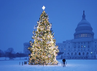 Árbol de Navidad iluminado contra un fondo nevado del Capitolio