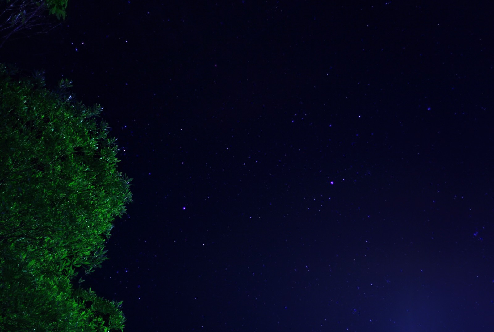 Céu noturno com estrelas e árvores e um banco em primeiro plano (brilhante, escuro, eh, leitoso, noite)