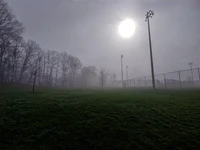 Nebeliger Frühlingsfeld mit Bäumen und Sonnenlicht