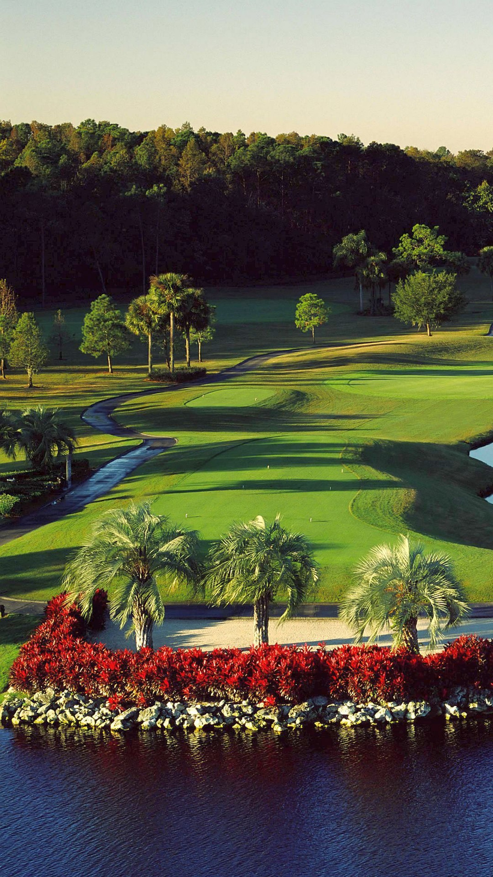 Arafed view of a golf course with a pond and trees (balls, clubs, course, golf, greens)