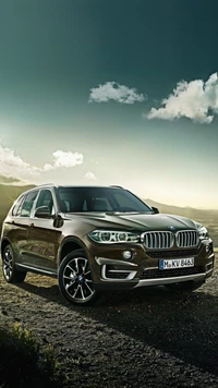 BMW X5 : Un SUV luxueux avec un design et des performances époustouflants