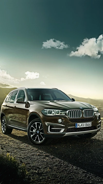 BMW X5: Un SUV lujoso con un diseño y rendimiento impresionantes