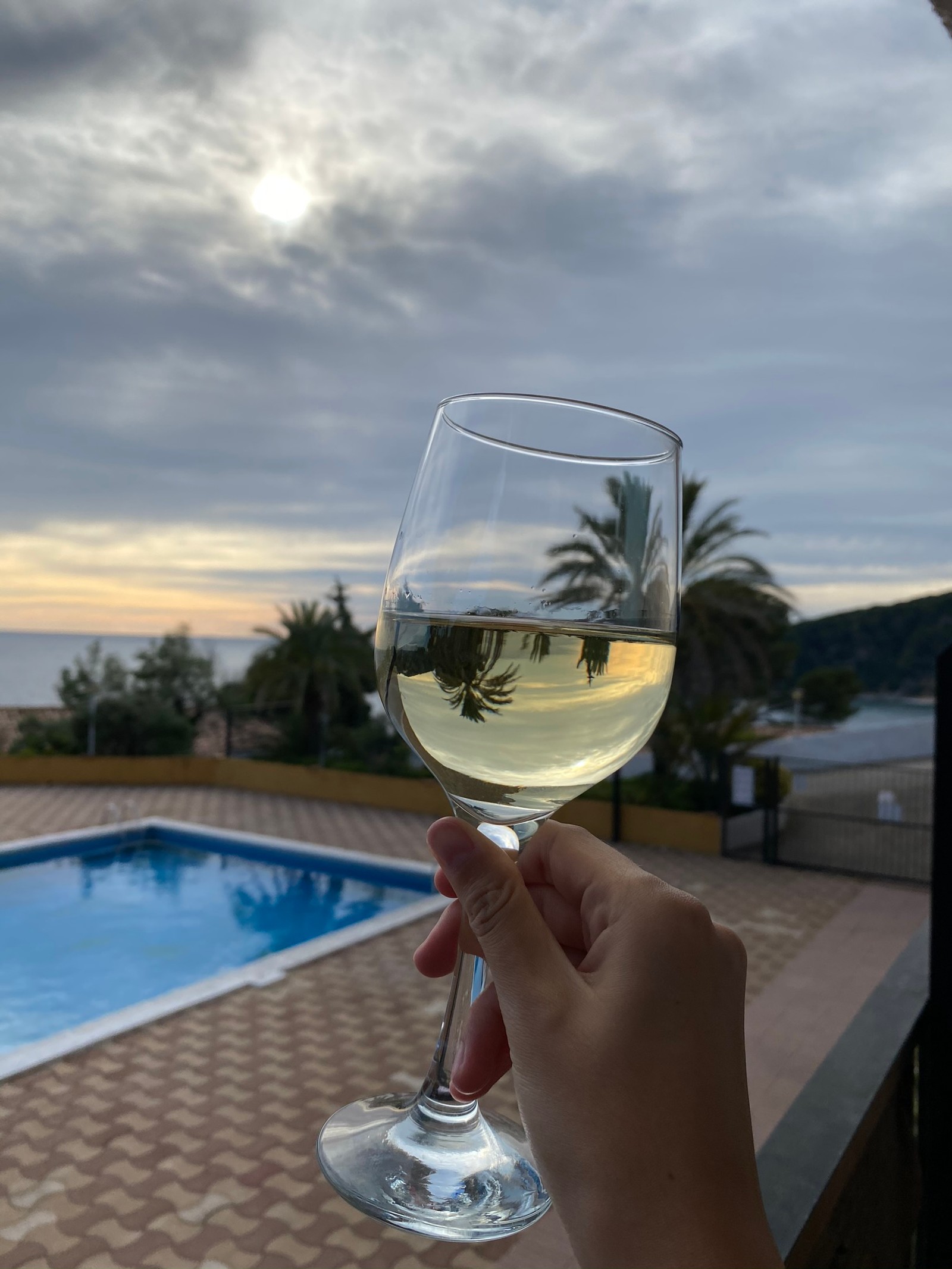 Quelqu'un tient un verre de vin avec vue sur la piscine (eau, verre à vin, vin, verrerie, fluide)