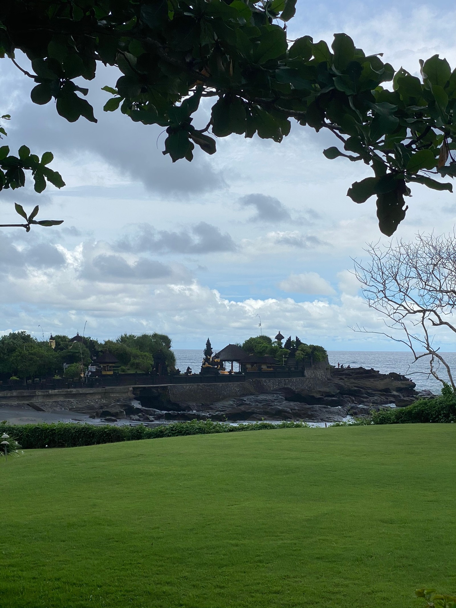 There is a large grassy field with a building in the distance (bali, leaf, science, biology, grass)