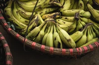 Fresh Green Bananas in a Traditional Basket