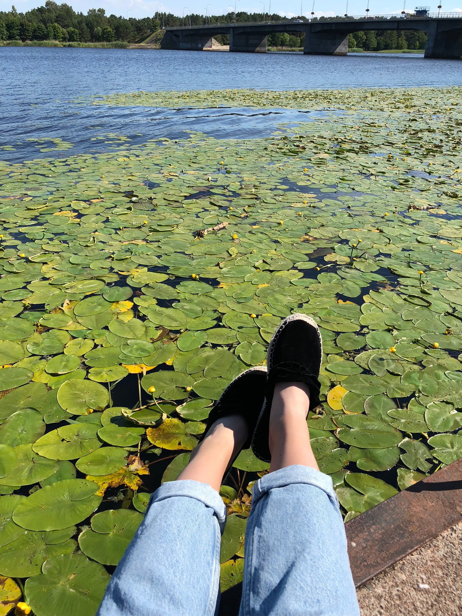 Quelqu'un est assis sur un rebord près de l'eau avec des nénuphars (eau, humain, ressources en eau, feuille, personnes dans la nature)