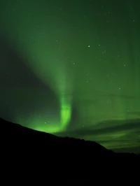 Celestial Green Aurora Illuminates the Night Sky