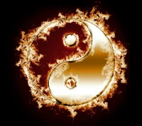 brûlant, feu, symbole, yin yang