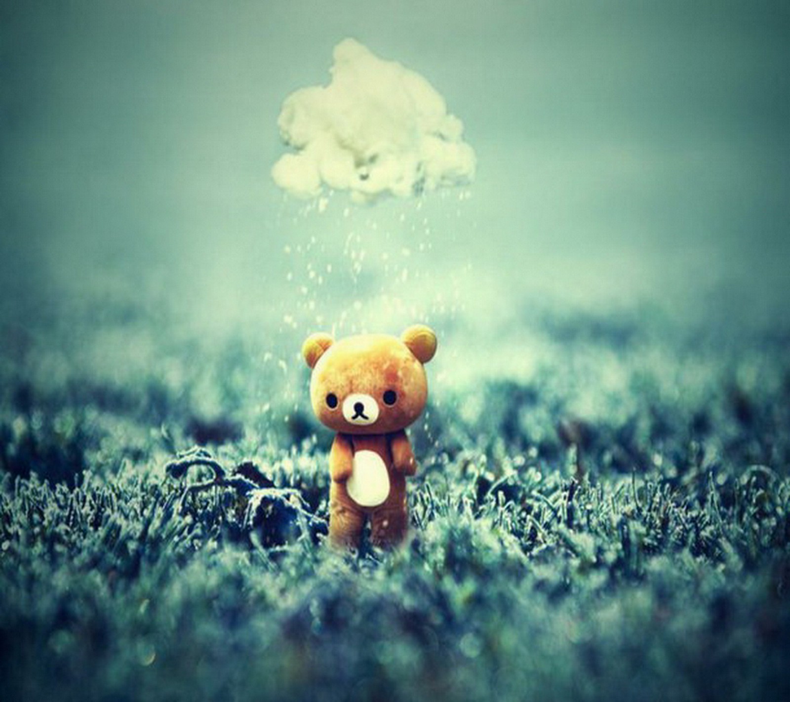 There is a teddy bear that is standing in the grass (bear, sad, teddy)