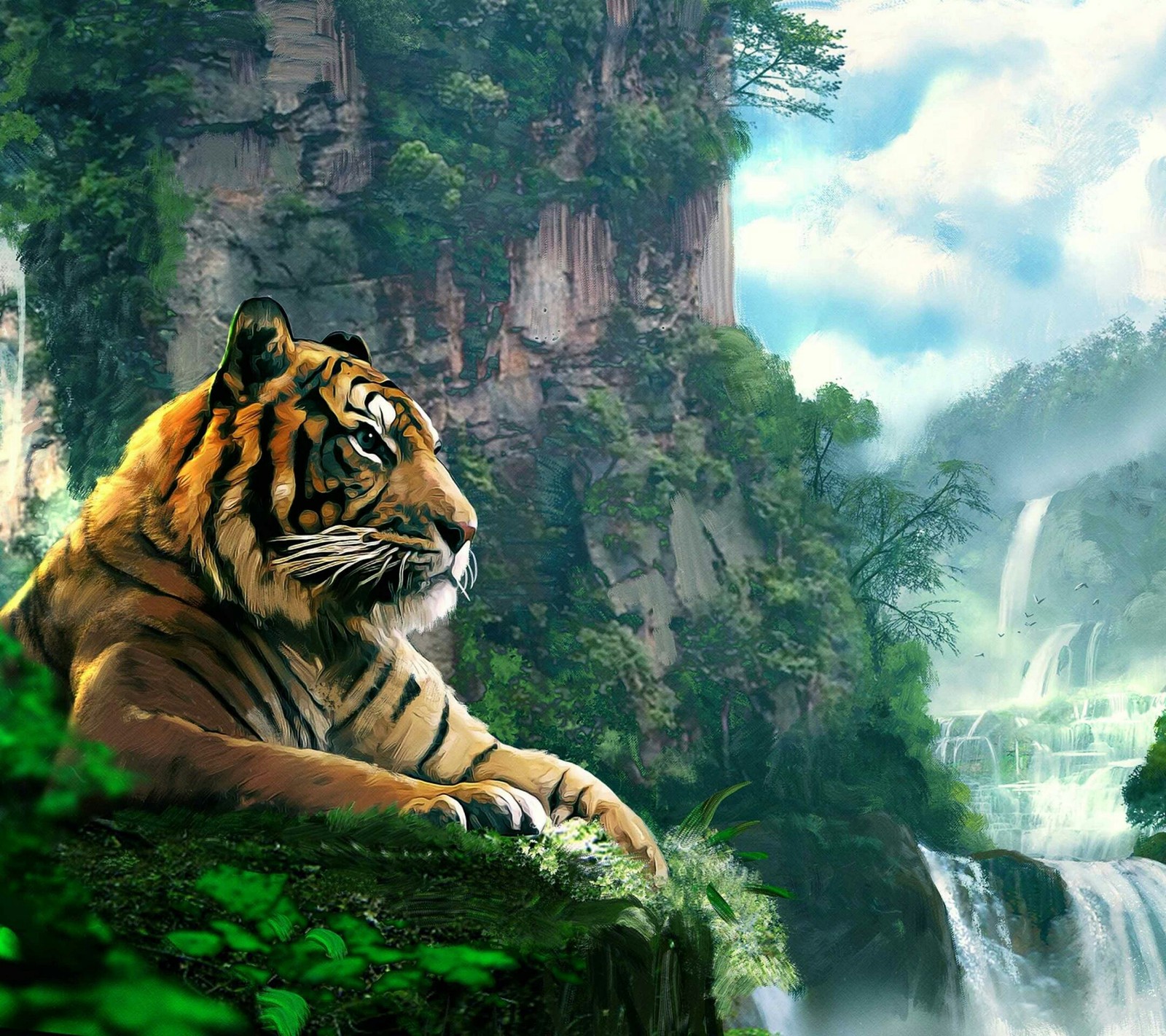 falls, nature, tiger wallpaper