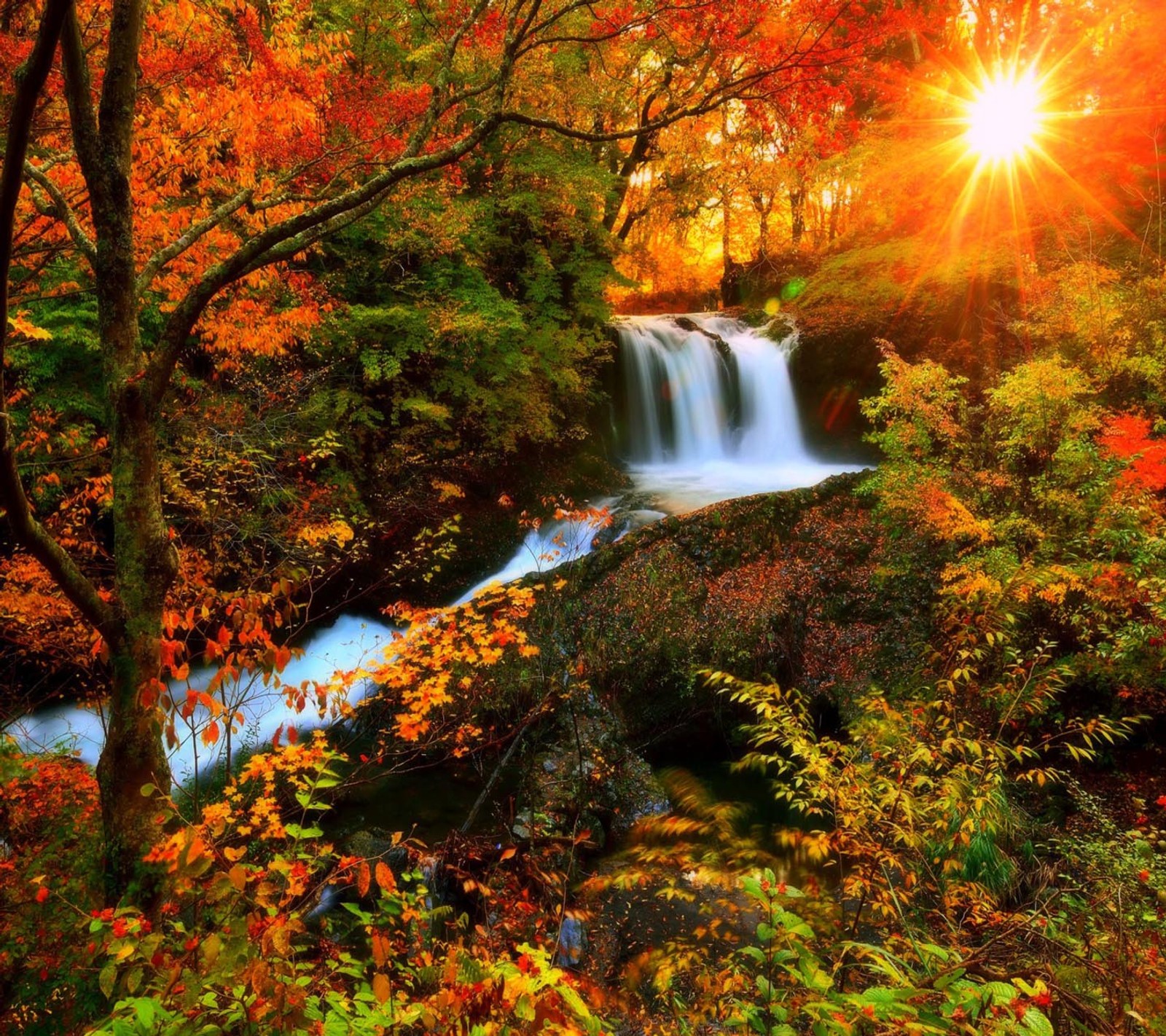 A beautiful fall scene with a waterfall and trees (look, nice)