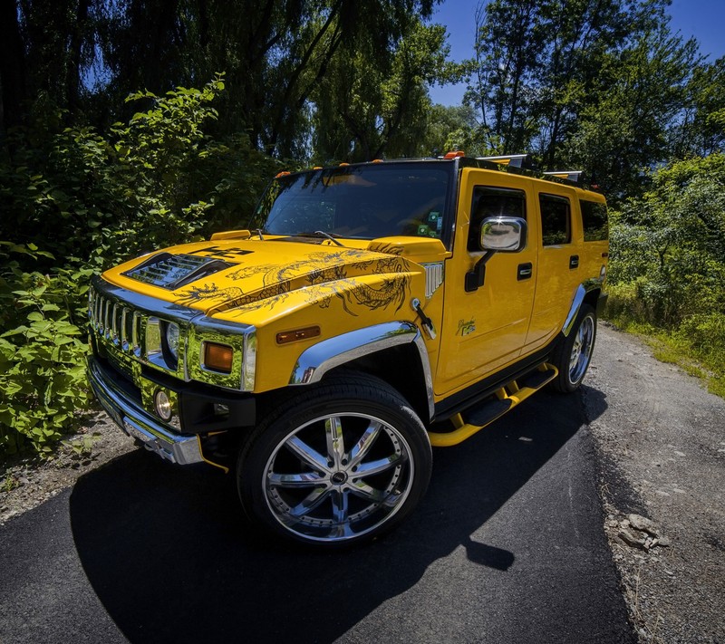 Артистичный hummer, припаркованный на дороге в лесу (авто, мото, moto)