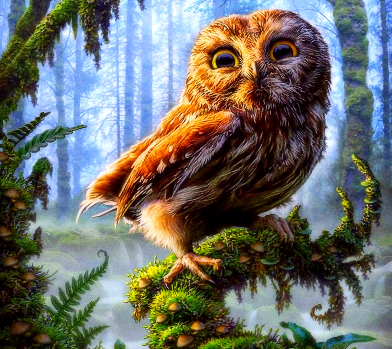 Download owl, wallpaper for free