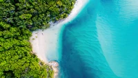 Aerial view of a pristine coastline with turquoise waters and lush forest.