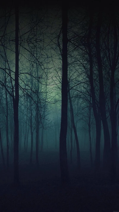 Eerie Misty Forest at Night