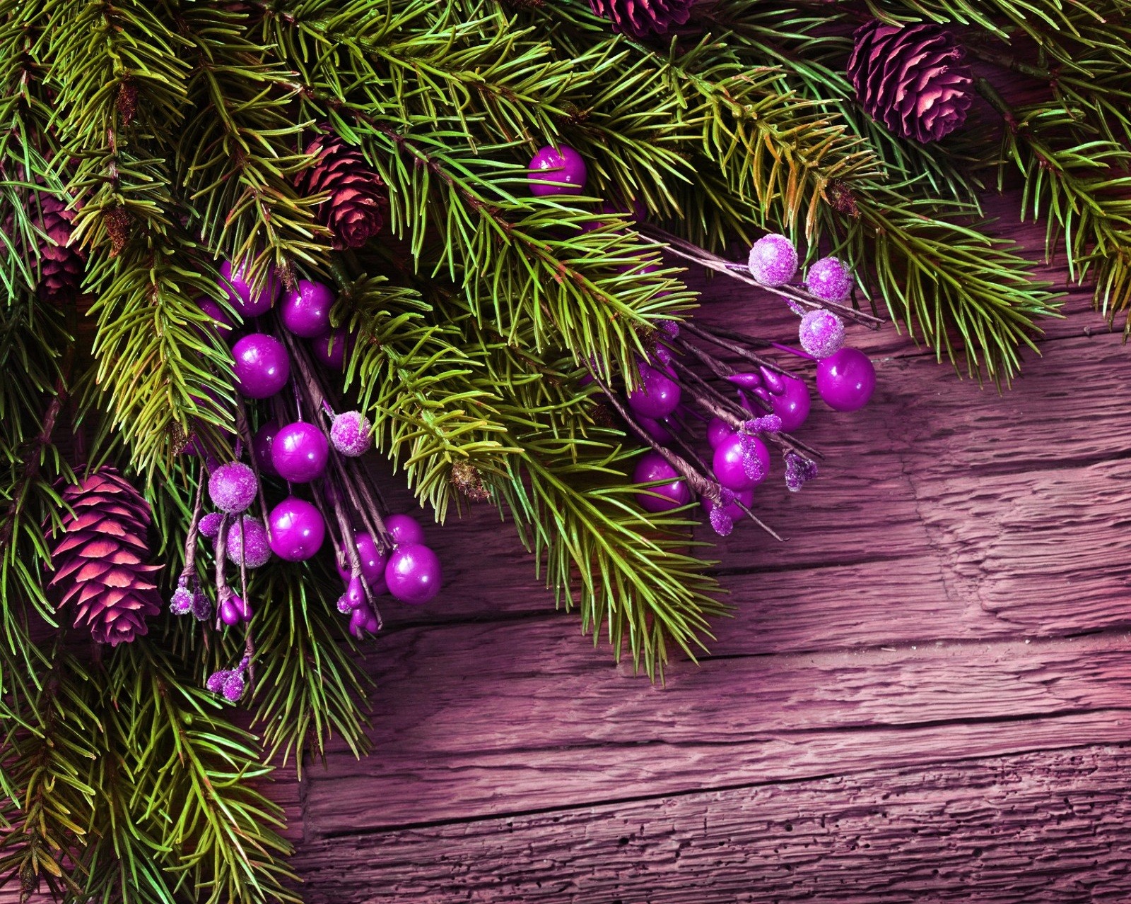 branch, christmas Download Wallpaper