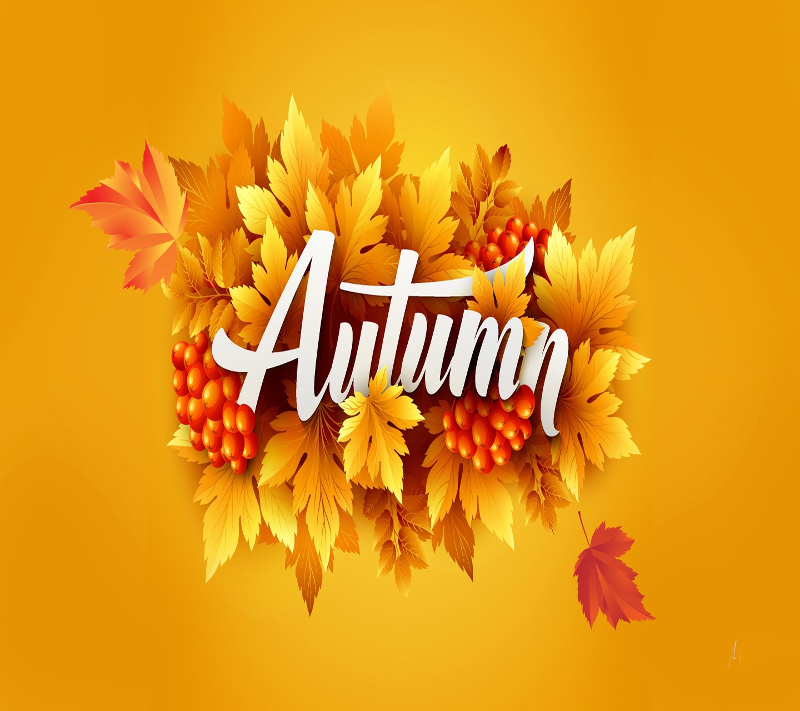 Autumn background with leaves and berries (autumn, wallpaper)