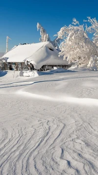 landschaft, schneebedeckt