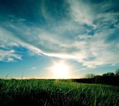 bleu, champ, vert, ciel, printemps