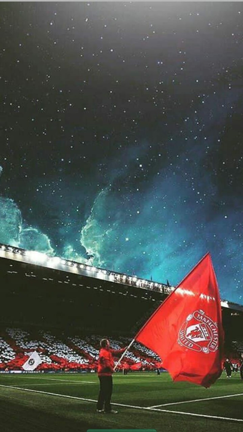 Imagen panorámica de un hombre sosteniendo una bandera en un campo (aeronave, avión, aviación, fútbol, hockey)