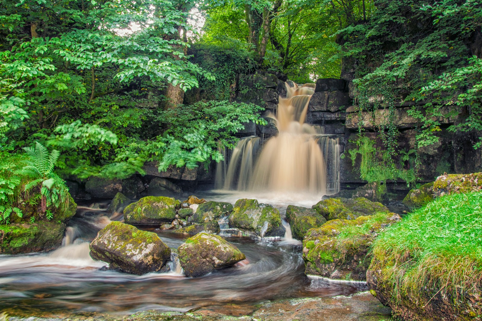 Uma cachoeira no meio de uma floresta verde exuberante (natureza, cachoeira, floresta antiga, árvore, água)