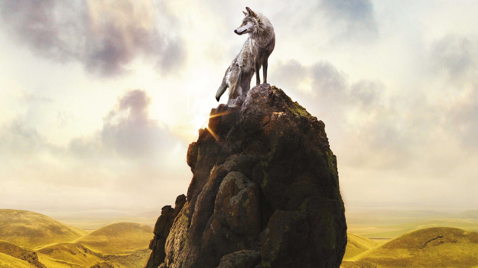 There is a white dog standing on top of a mountain (rock, dragon, wolf, fictional character, wildlife)