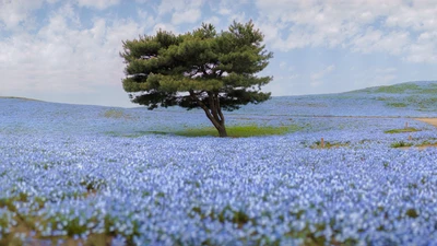 Árbol solitario en medio de un mar de flores silvestres azules en primavera