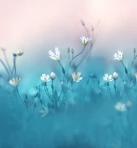 huawei, huawei nova, huawei nova 3, petal, flower wallpaper