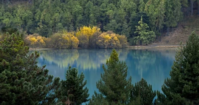 wasser, see, reflexion, naturschutzgebiet, vegetation