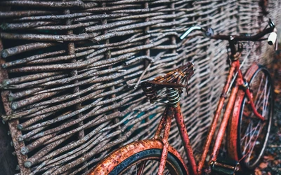 Rostiges Fahrrad, das an einem geflochtenen Zaun lehnt