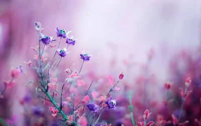 Delicate Lavender Blossoms in a Colorful Spring Garden