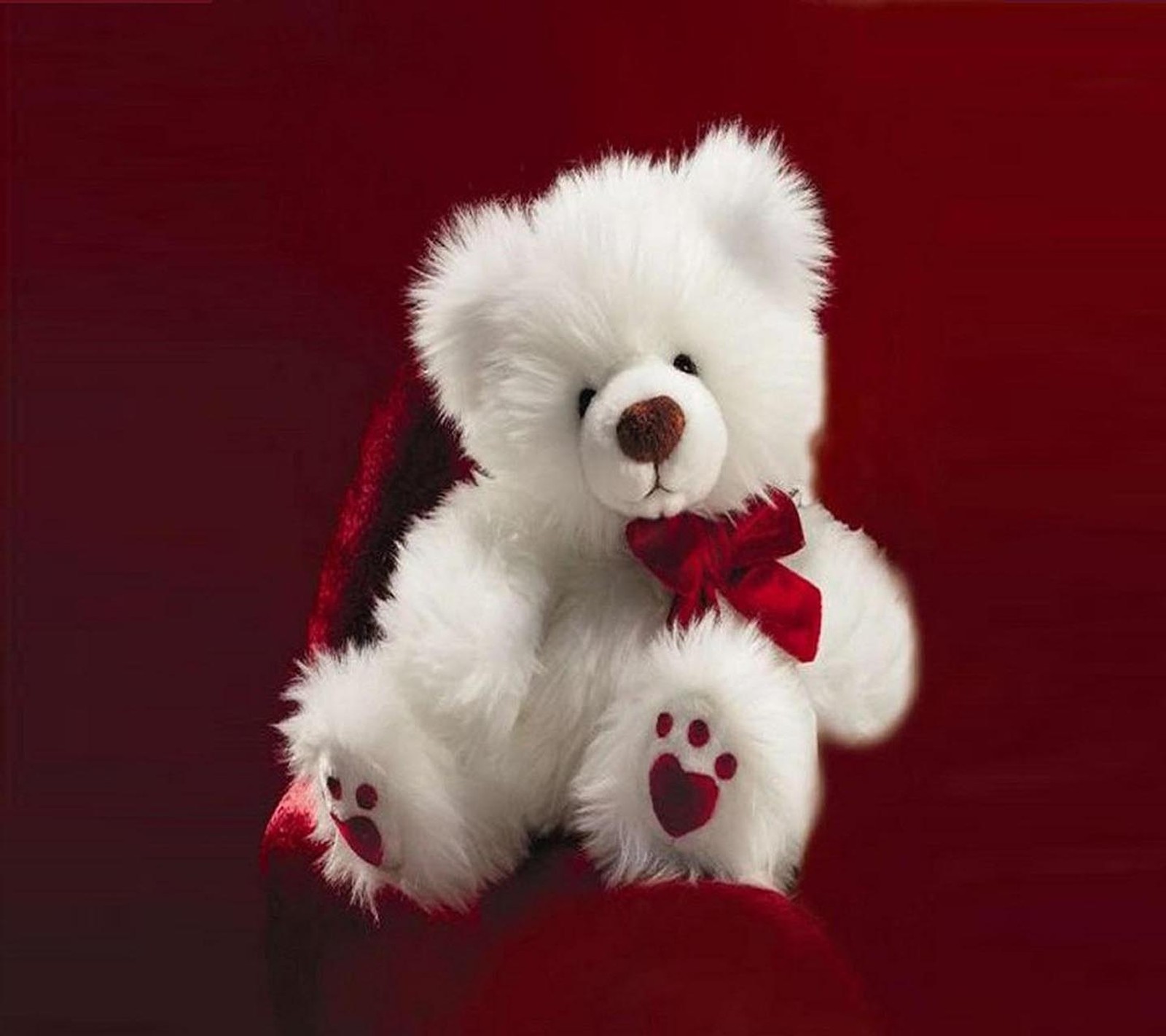 There is a white teddy bear with a red bow on it (bear, love, doll)