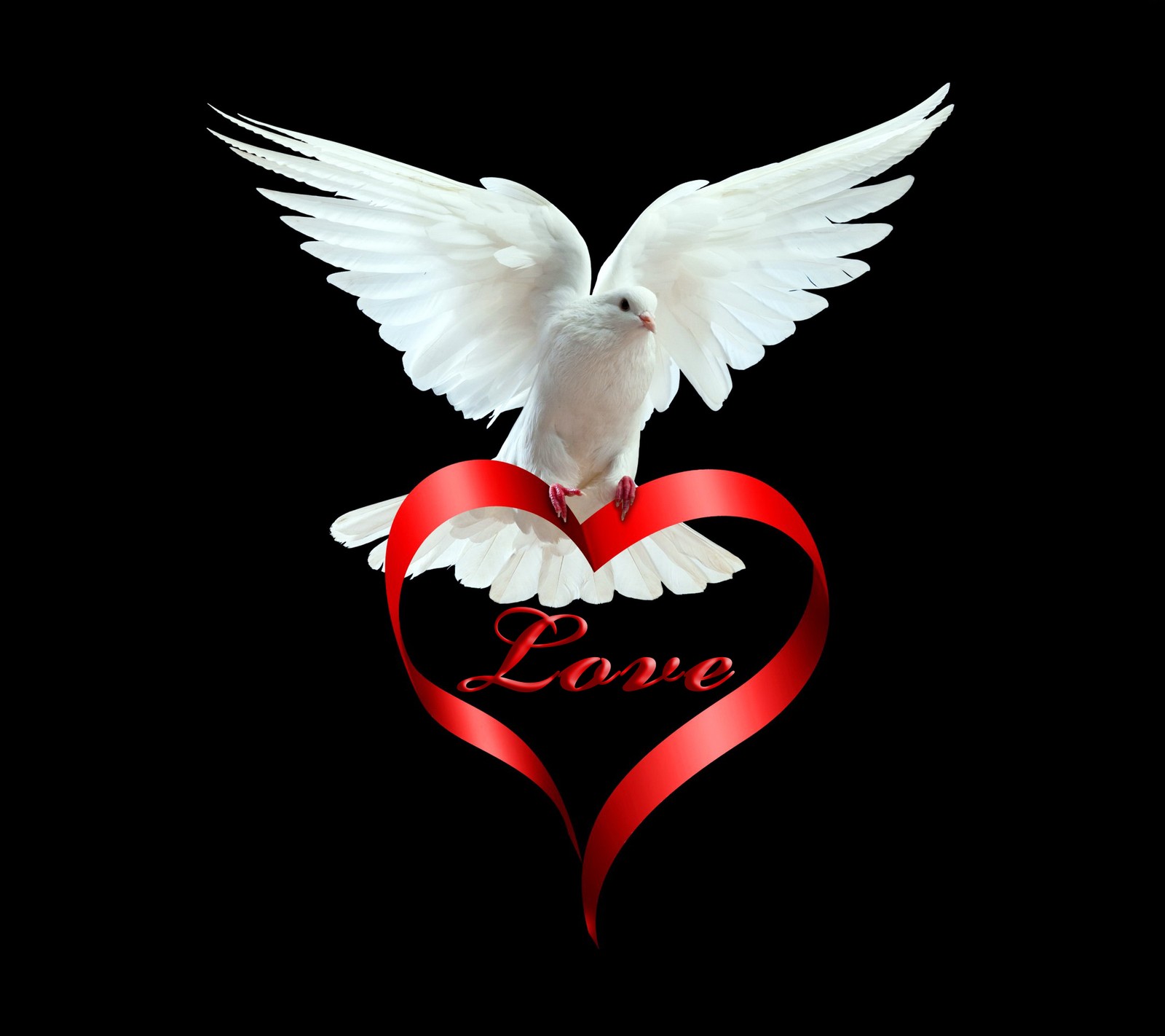 dove, heart, love, peace, romantic wallpaper