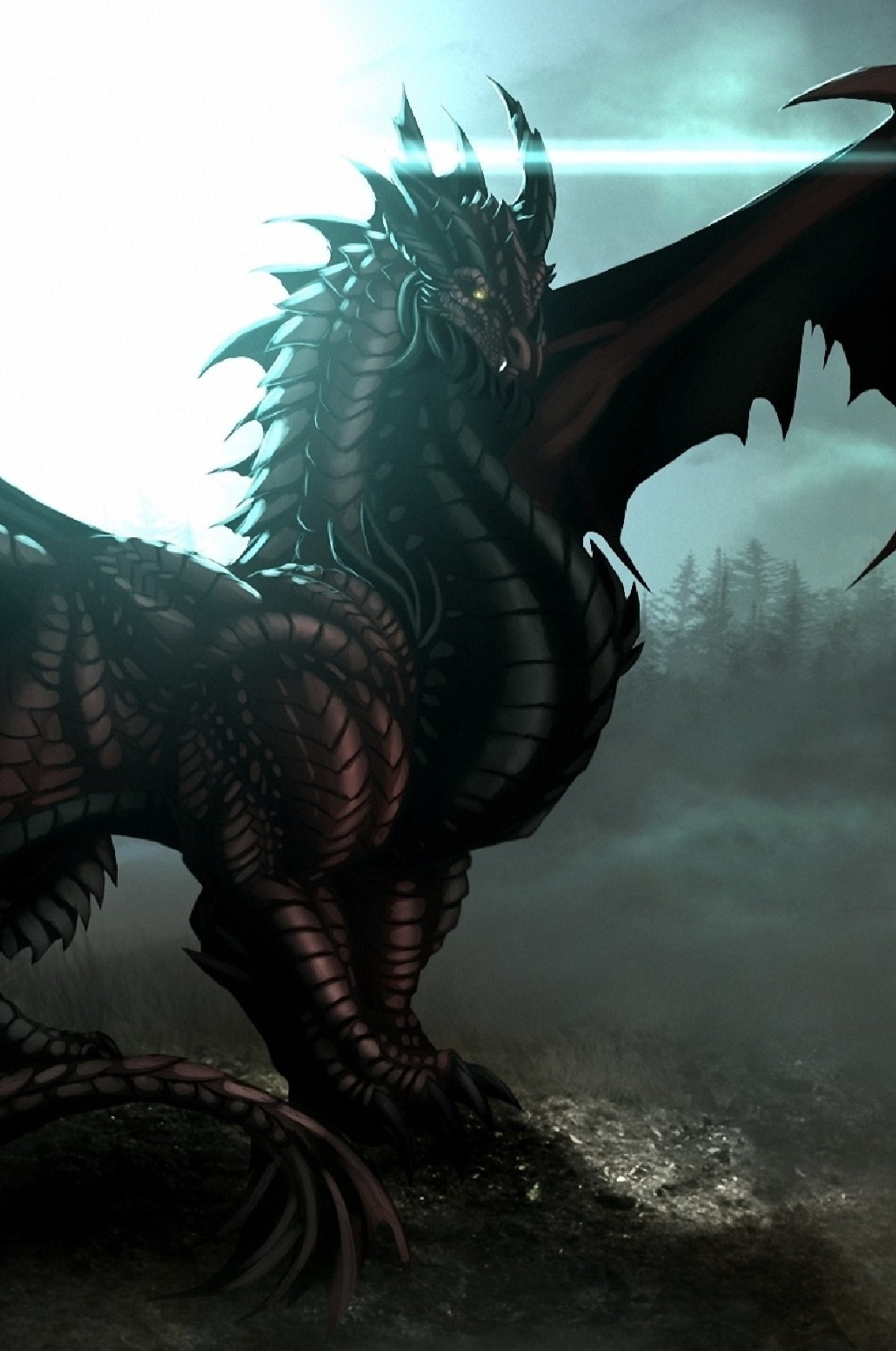 There is a dragon that is standing on a hill in the fog (black, dragon, fantasy, fire, i4)