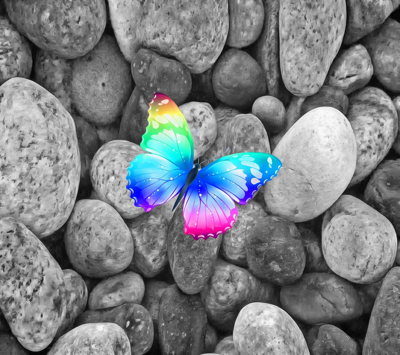 There is a colorful butterfly that is sitting on some rocks (butterfly, stones)