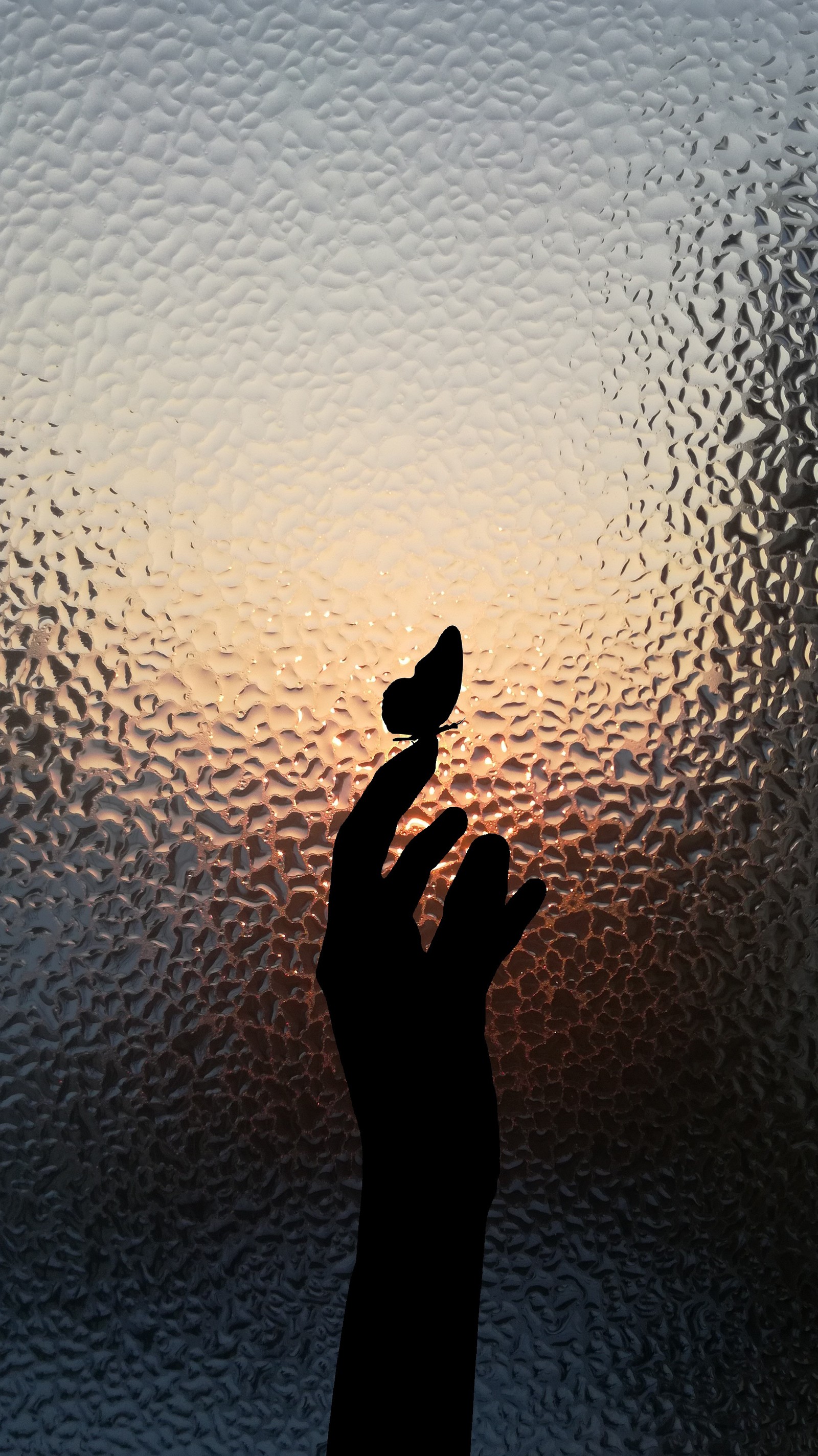 Quelqu'un tient un oiseau dans sa main devant une fenêtre en verre dépoli (art, génial, verre, nature, paix)