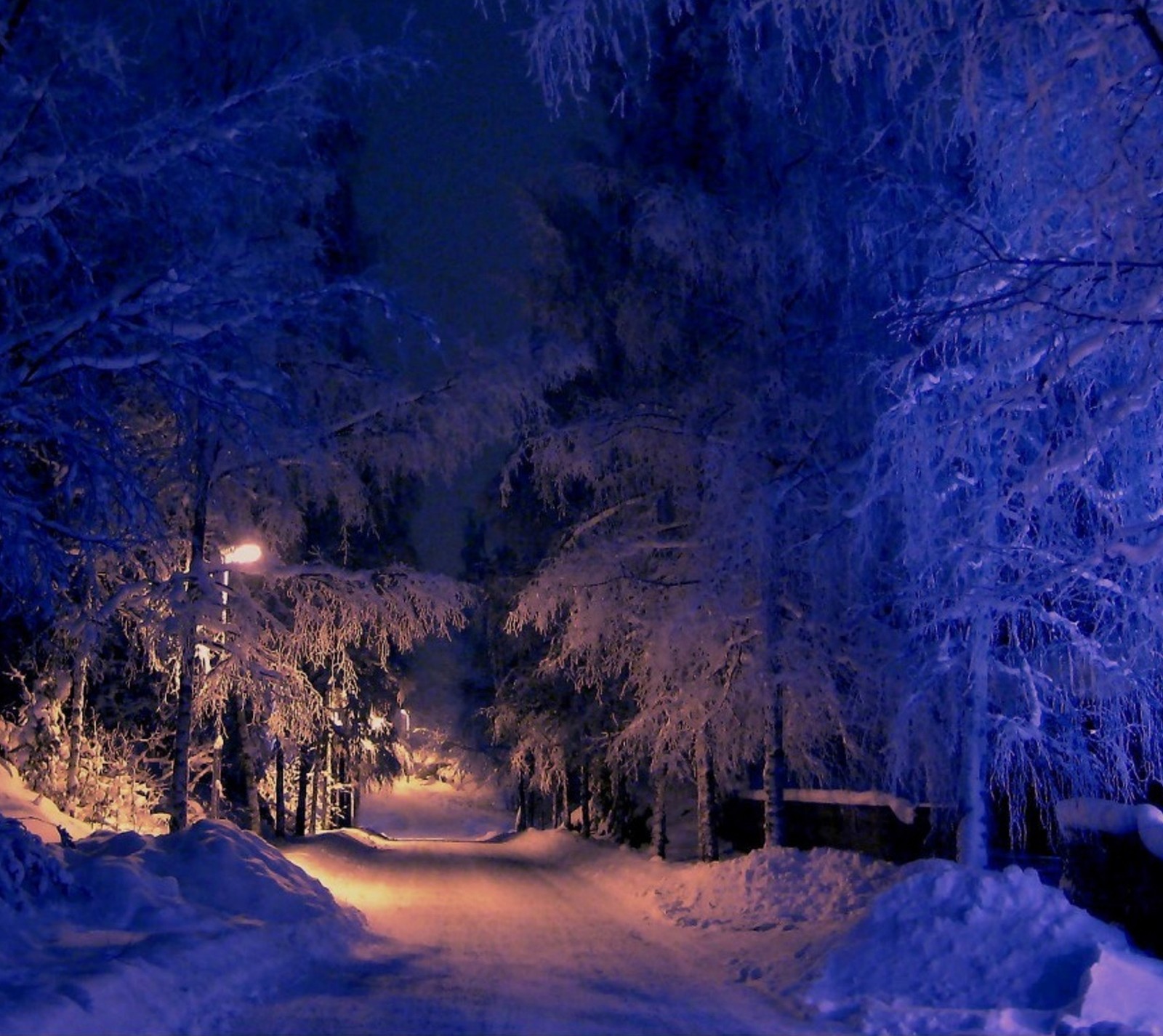 Descargar fondo de pantalla naturaleza, noche, nieve, invierno