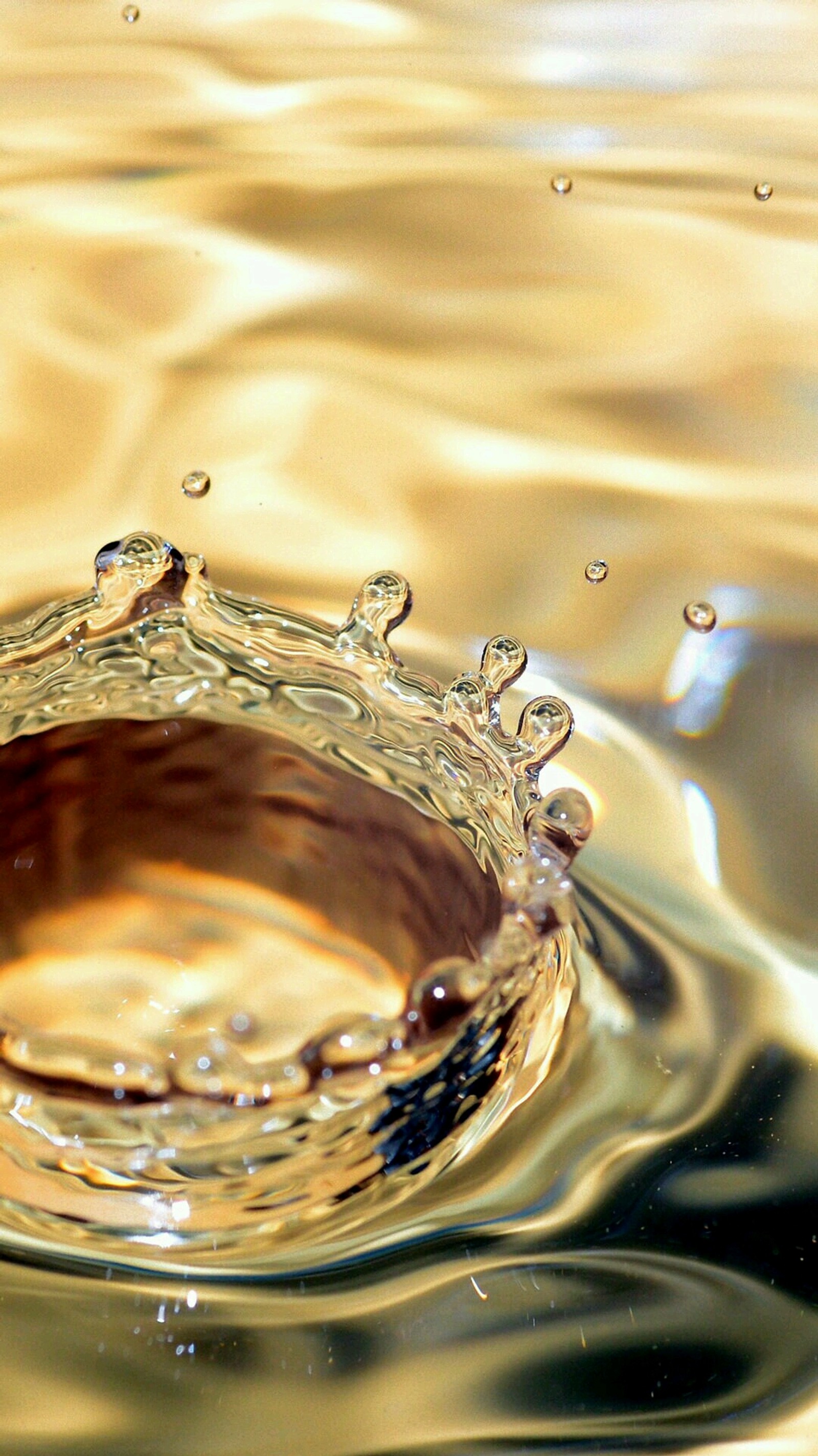 A close up of a water drop with a ring of water (drop, water)