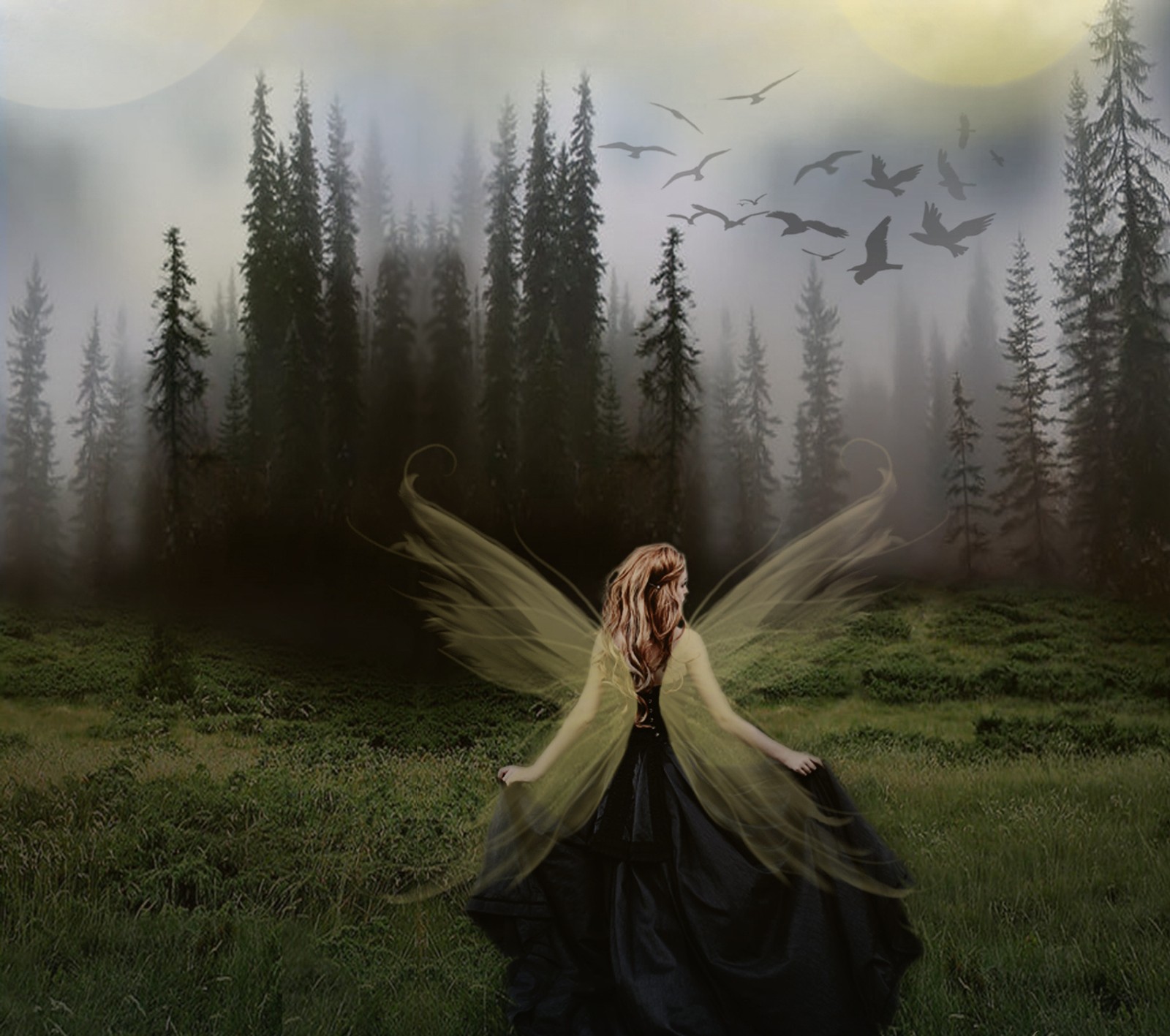 birds, dark, fairy, girl, spooky Download Wallpaper