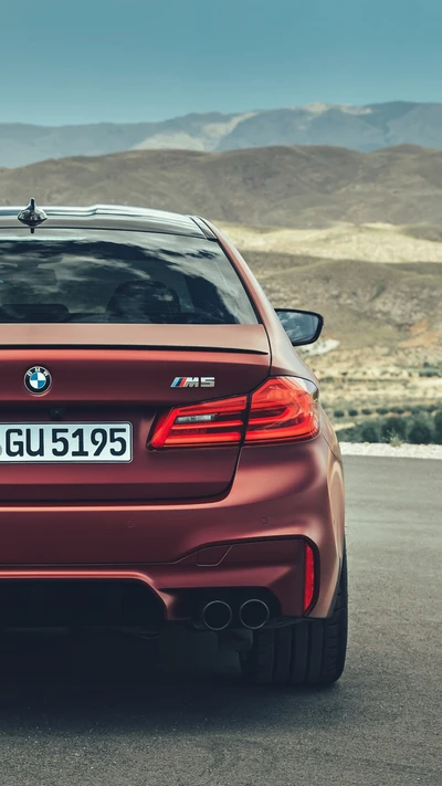 Vista trasera del BMW M5 F90 en un paisaje impresionante