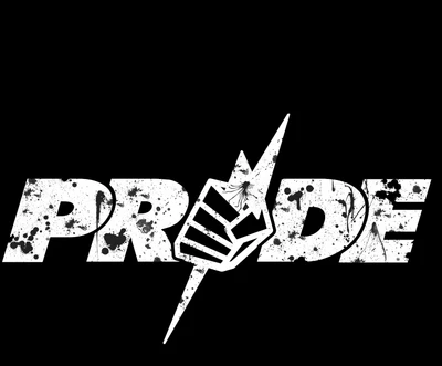 Pride MMA: O espírito da cultura de luta japonesa