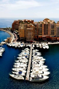 Yates de lujo atracados en una marina junto a edificios modernos frente al mar bajo un cielo azul claro.